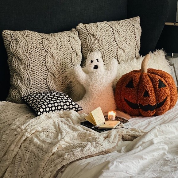 Pottery Barn Cuddly and Cute Spooktastic Jack-O-Lantern Pumpkin Pillow 🎃… - Picture 16 of 16